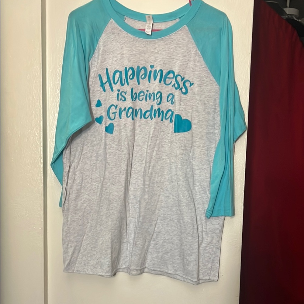 Next Level Apparel Teal and Gray Raglan Tee